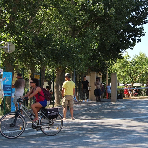 Camping Rive d'Aude